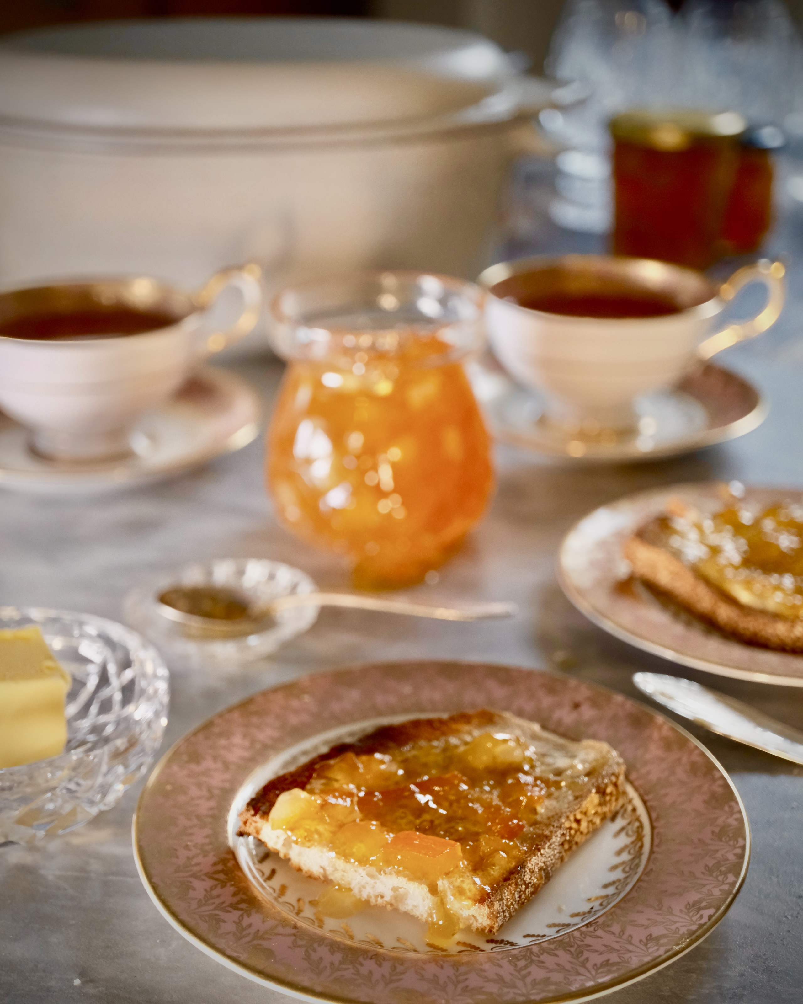 Grapefruit Lemon Marmalade